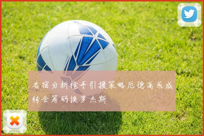 名宿分析枪手引援策略厄德高或成转会筹码换罗杰斯