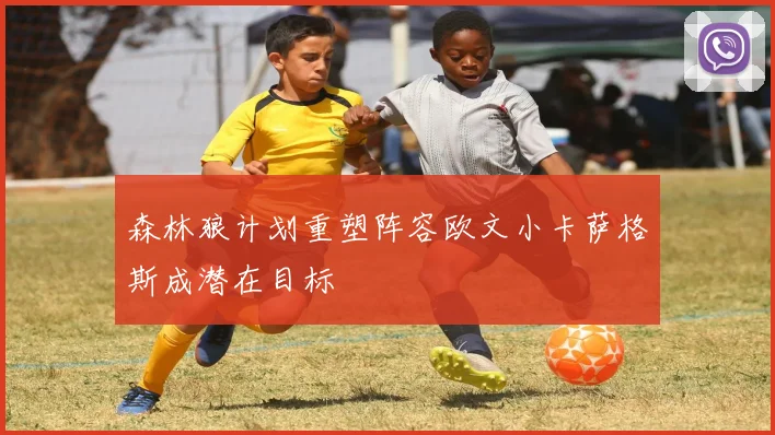 森林狼计划重塑阵容欧文小卡萨格斯成潜在目标